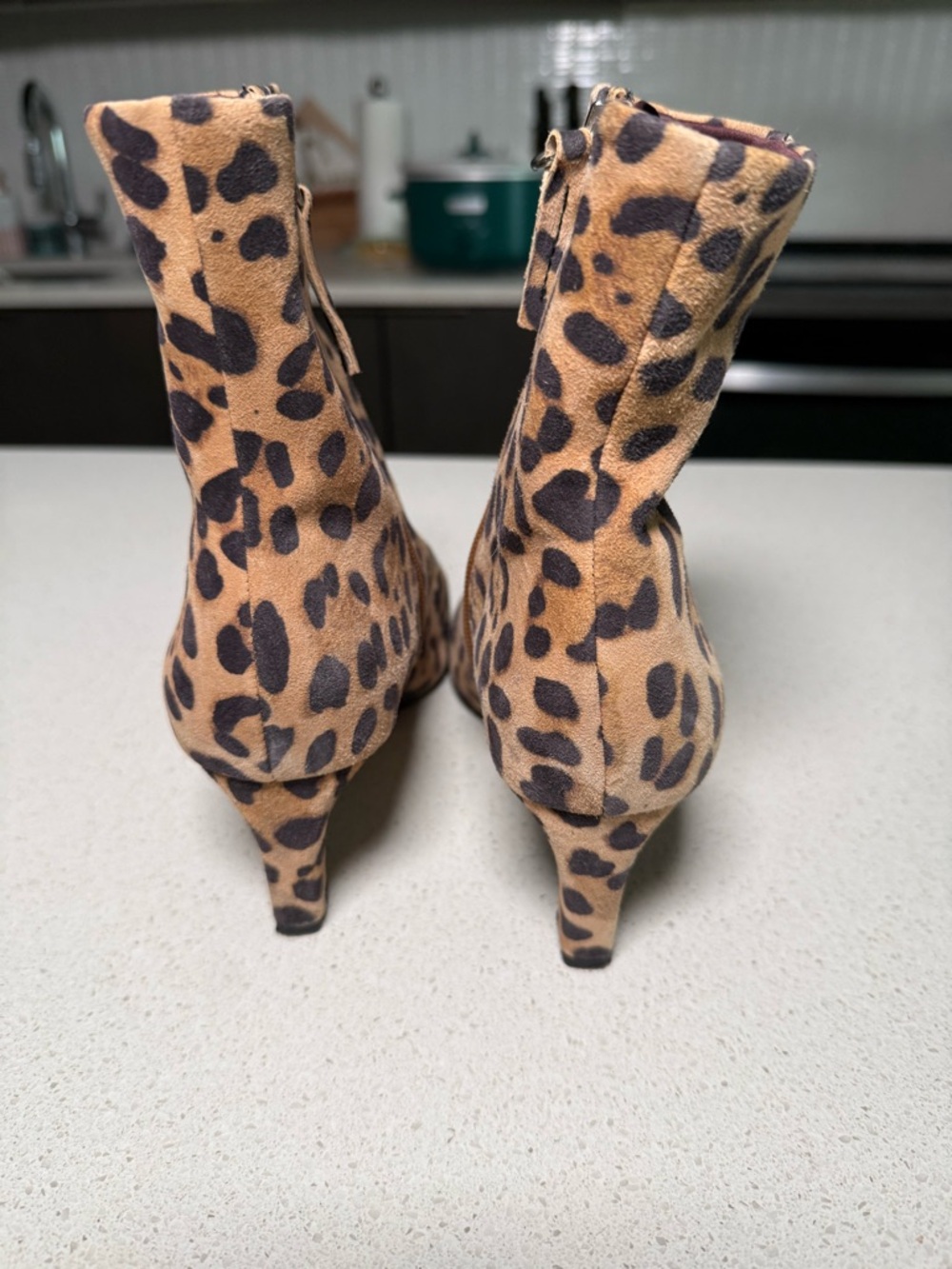 Franco Sarto Leopard Print Ankle Booties in Tan and Black - Picture 4 of 6